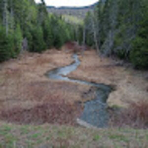 Meet your Posher, Claudiu